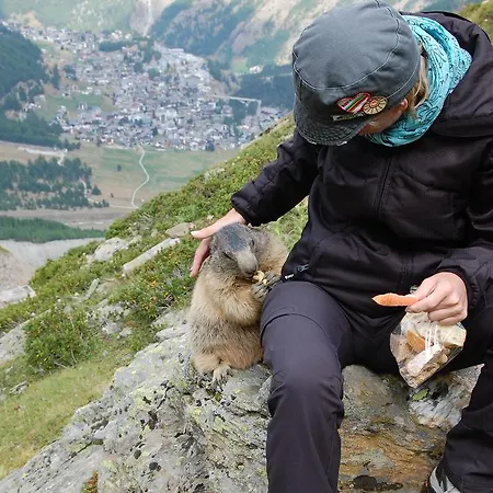 Allalinblick * Saas-Fee