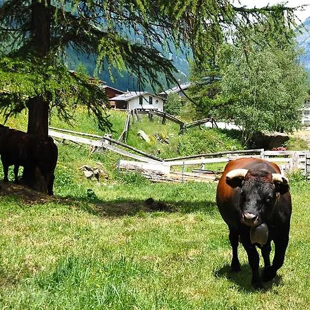 Daire Allalinblick Saas Fee