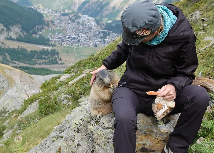 Allalinblick * Saas-Fee