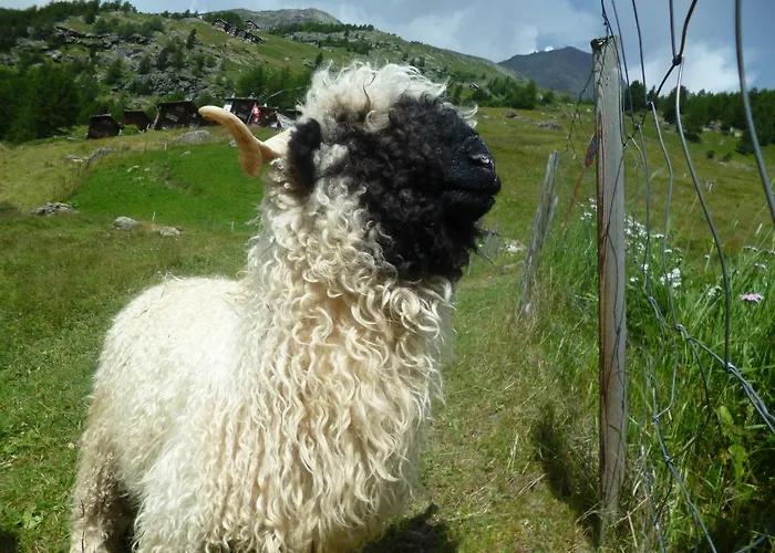 Appartamento Allalinblick Saas-Fee