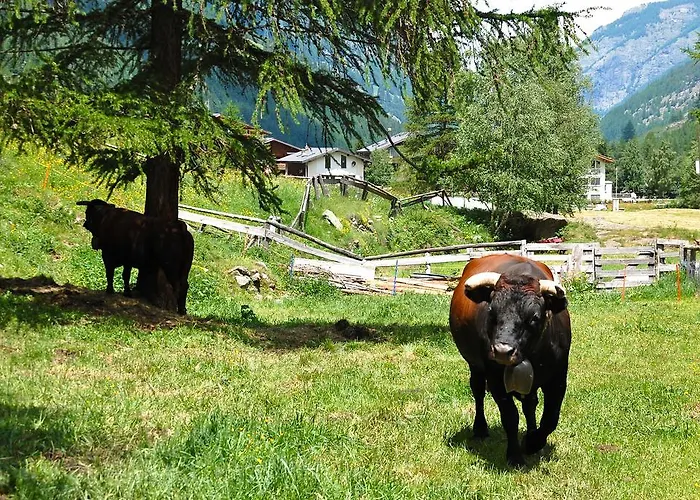 Apartment Allalinblick Saas-Fee