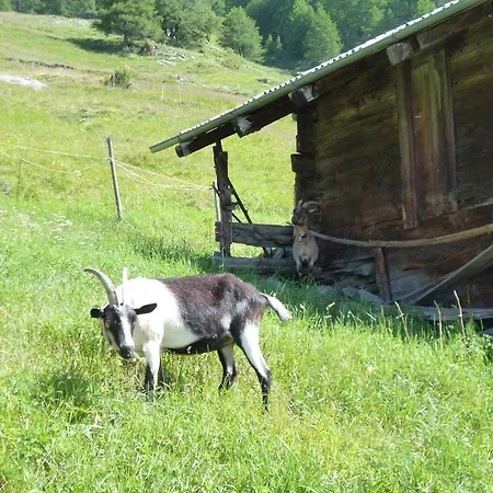 Allalinblick Saas Fee